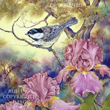 Схема вышивки «№162416»