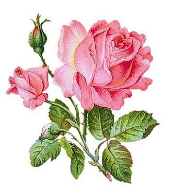 №162441 - букет, ваза, цветы, розы - оригинал