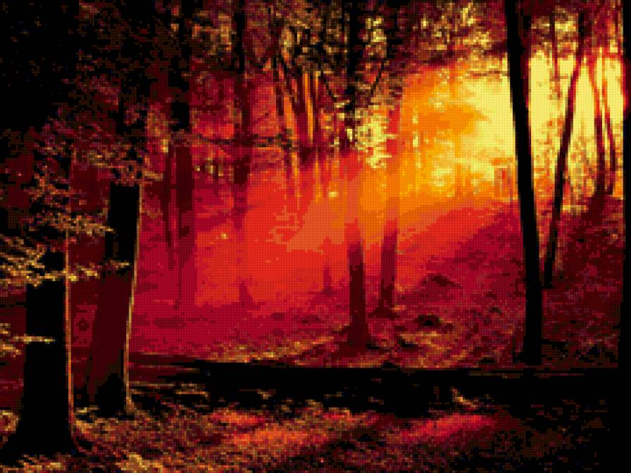 Закатный лес - закат, лес, деревья, солнце - предпросмотр