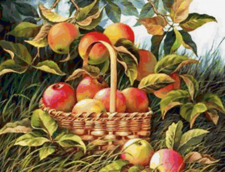 №162558 - предпросмотр