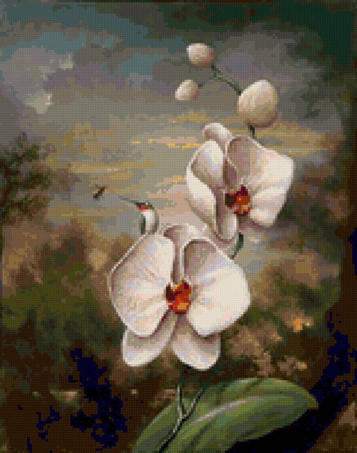 орхидеи - цветы - предпросмотр