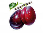 Оригинал схемы вышивки «фрукты» (№162710)