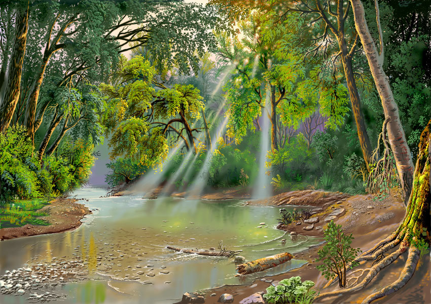 Лес - лес, озеро, солнце, красота, лето - оригинал