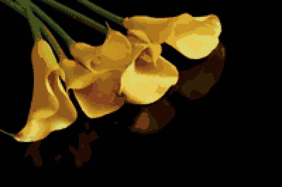 №162924 - предпросмотр