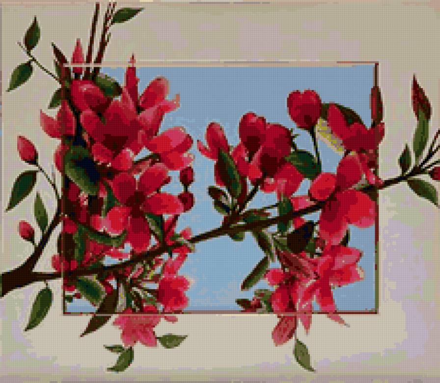 Ветка сакуры - цветы, сакура - предпросмотр