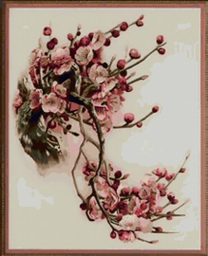 Цветущий гранат - цветы - предпросмотр