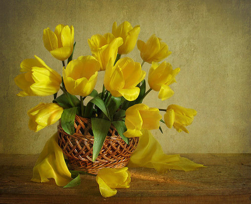 желтые цветы - тюльпаны, корзина - оригинал