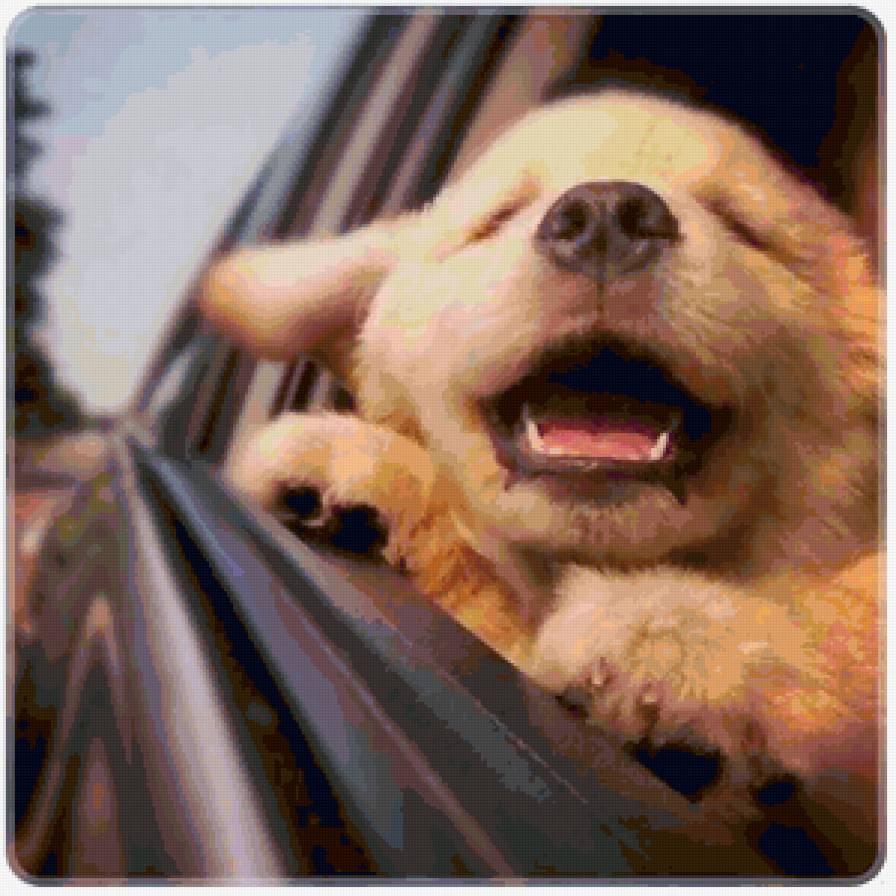 №163419 - предпросмотр