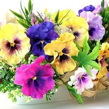 Схема вышивки «анютины глазки»