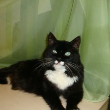 Схема вышивки «масик 2»