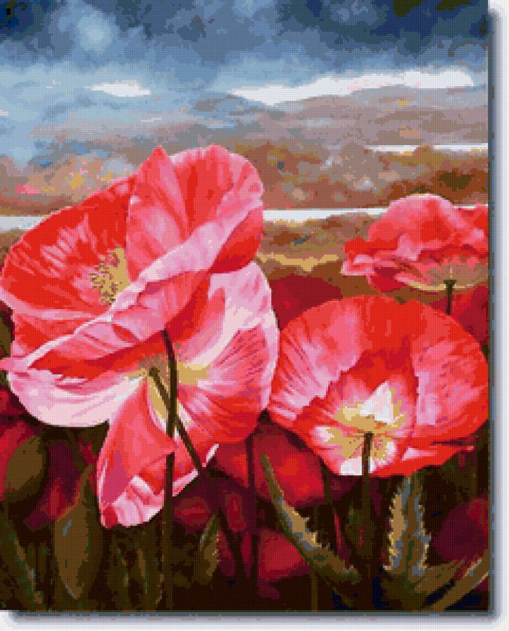 маки - предпросмотр