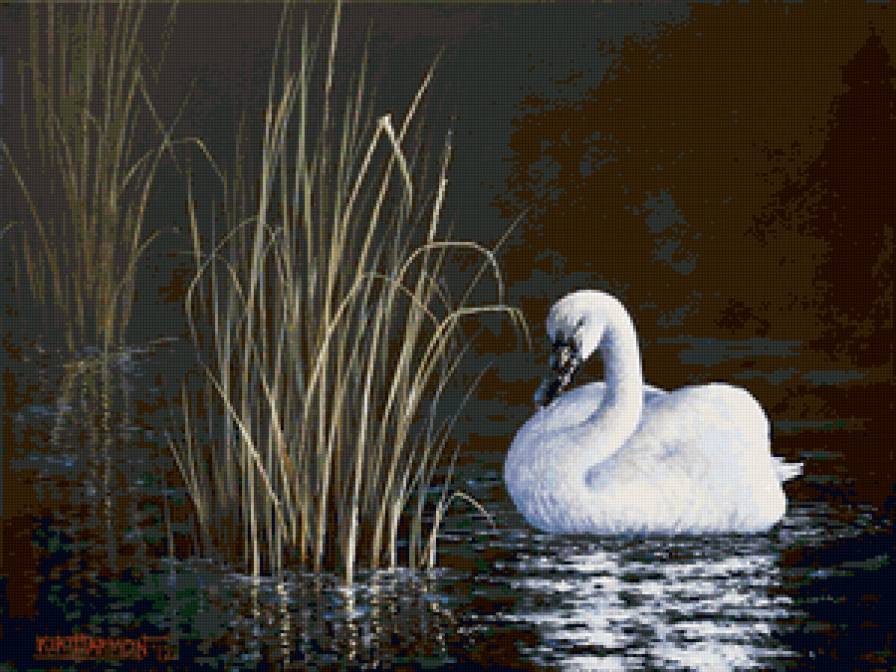 №163717 - предпросмотр