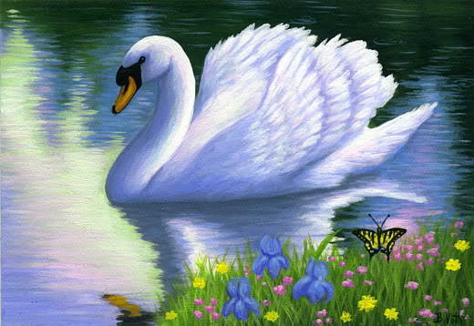 Лебедь - любовь, бабочка, верность, сердце, птицы, лебеди, грация - оригинал