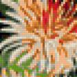 Предпросмотр схемы вышивки «Хризантемы» (№163794)