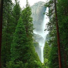 Оригинал схемы вышивки «Лес» (№163878)