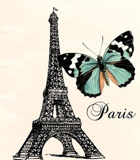 бабочка - оригинал