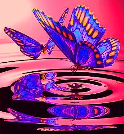 №164238 - пейзаж, бабочки, животные - оригинал