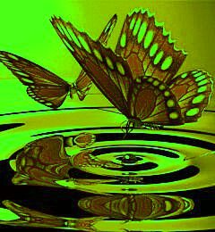 №164242 - животные, бабочки, пейзаж - оригинал