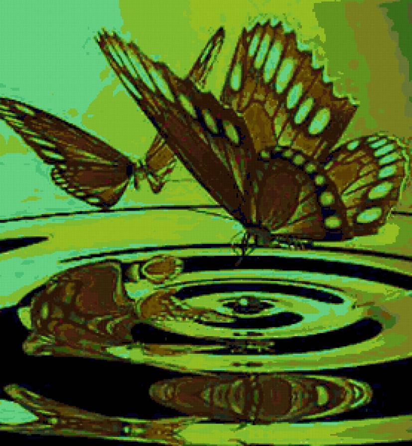 №164242 - бабочки, животные, пейзаж - предпросмотр