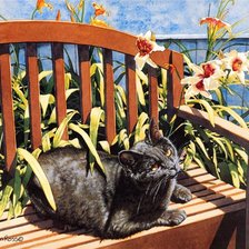 Схема вышивки «Кошка»