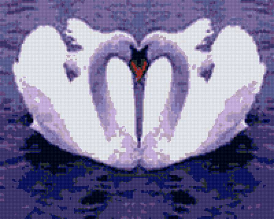 лебеди - любовь, лебеди, нежность - предпросмотр