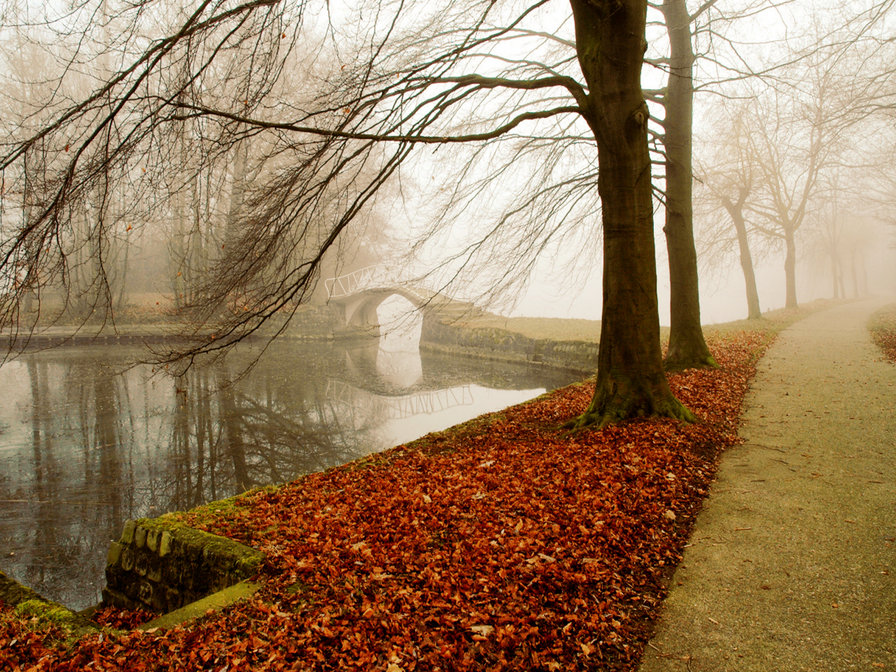 туман - дерево, мост, осень - оригинал