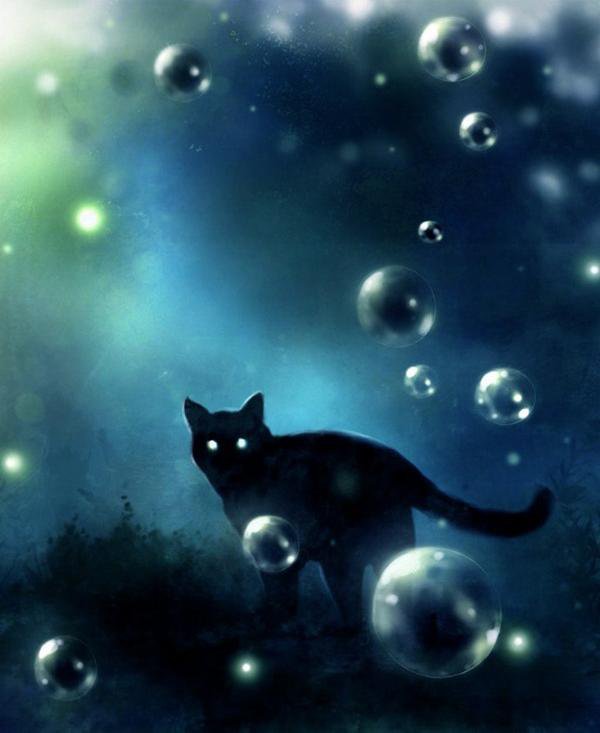 Картинка из сери "BLACK  KAT" - черный, животные, картинка, кот, кошка, юмор - оригинал