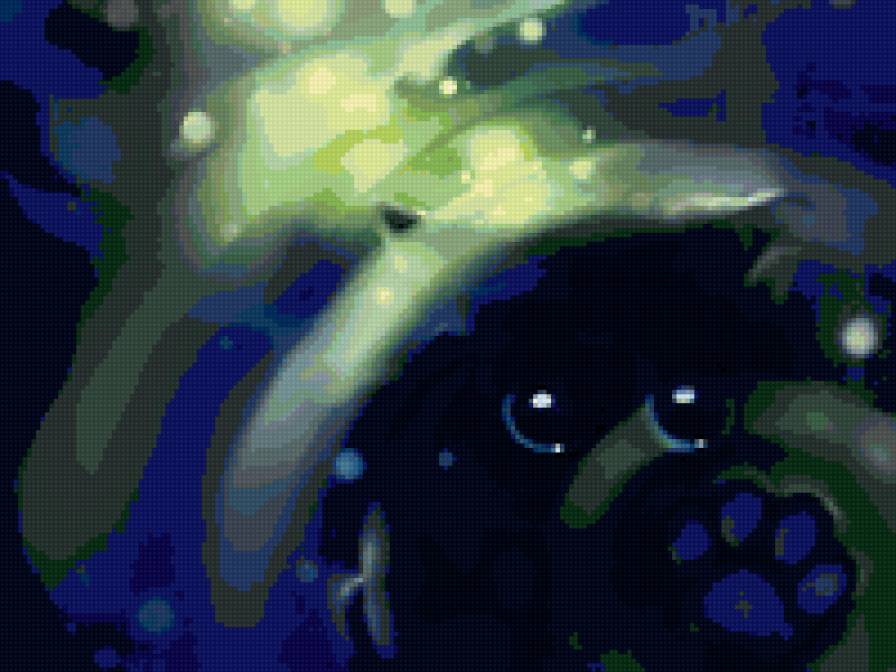 Картинка из сери "BLACK  KAT" - юмор, кот, черный, кошка, животные, картинка - предпросмотр