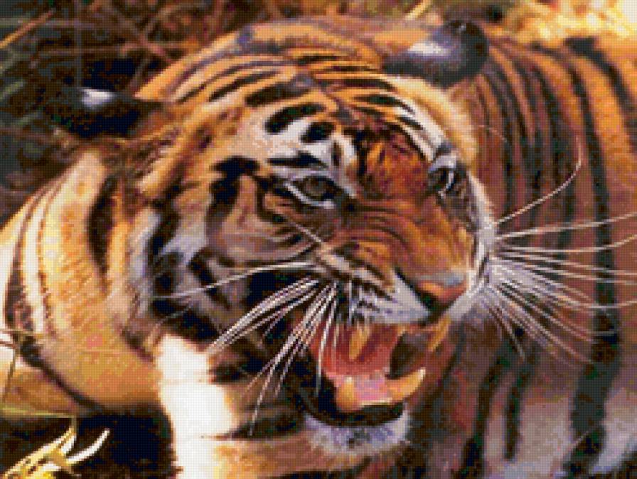 тигр - кошка, тигр - предпросмотр