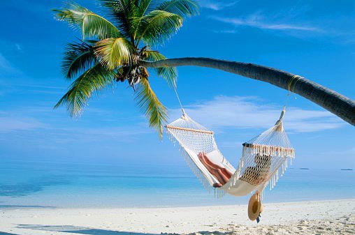 лето - пейзаж - оригинал