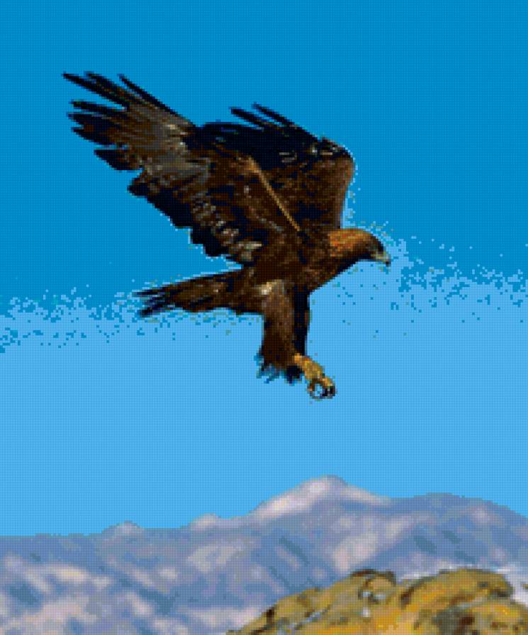 орел - властелин колец, птицы, горы, орел - предпросмотр