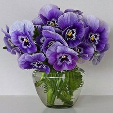 Схема вышивки «№164836»