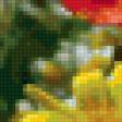 Предпросмотр схемы вышивки «цветы луговые..» (№165004)