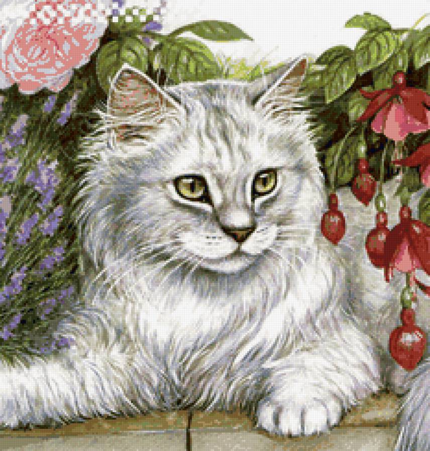 №165107 - кот, цветы - предпросмотр