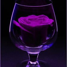 Схема вышивки «роза в бокале»