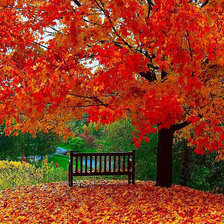 Схема вышивки «осень»