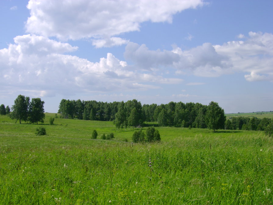 природа - оригинал