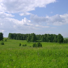 Схема вышивки «природа»