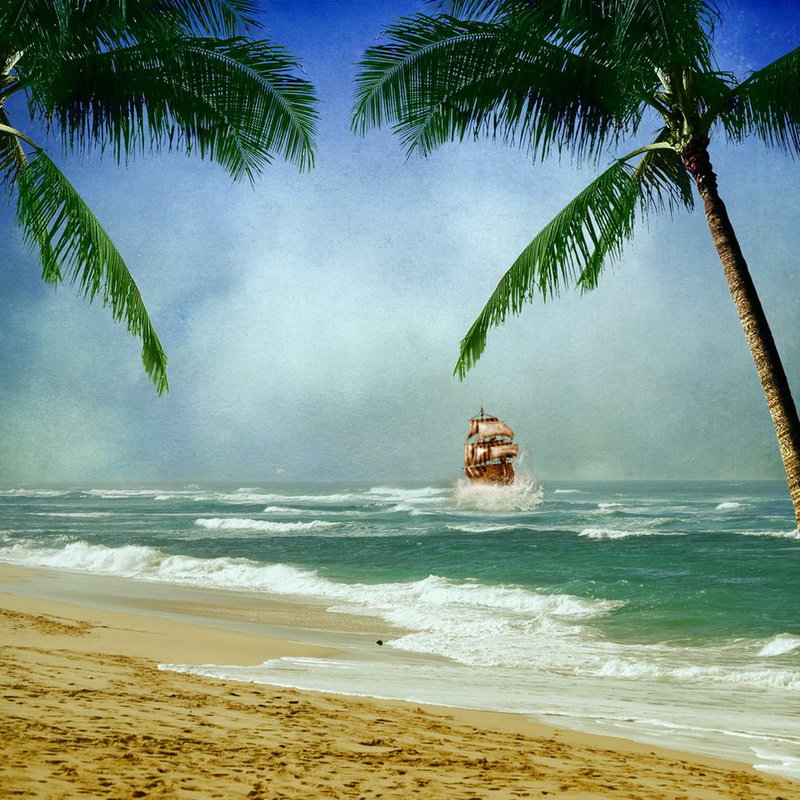 парусник - оригинал