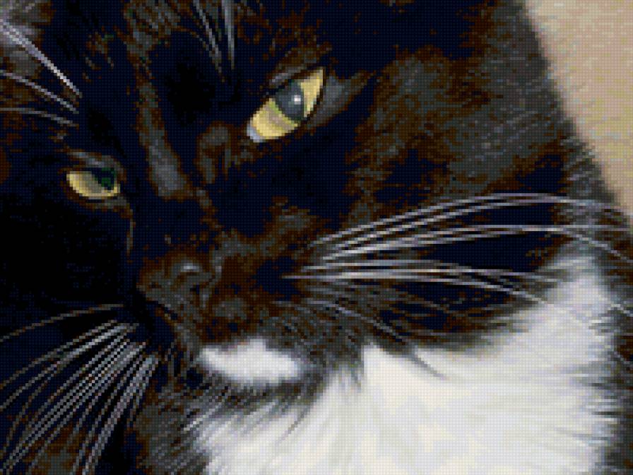 Мусенька - кошечка - предпросмотр