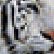 Предпросмотр схемы вышивки «Белые тигры» (№165384)