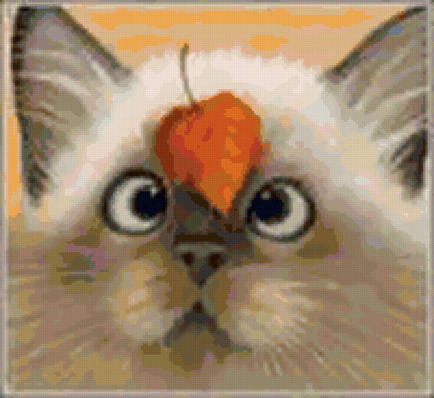 Котэ осенний - кот, осень, животное - предпросмотр