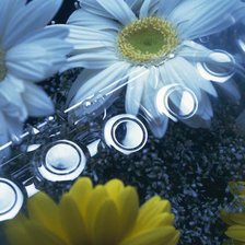 Схема вышивки «Ромашки»