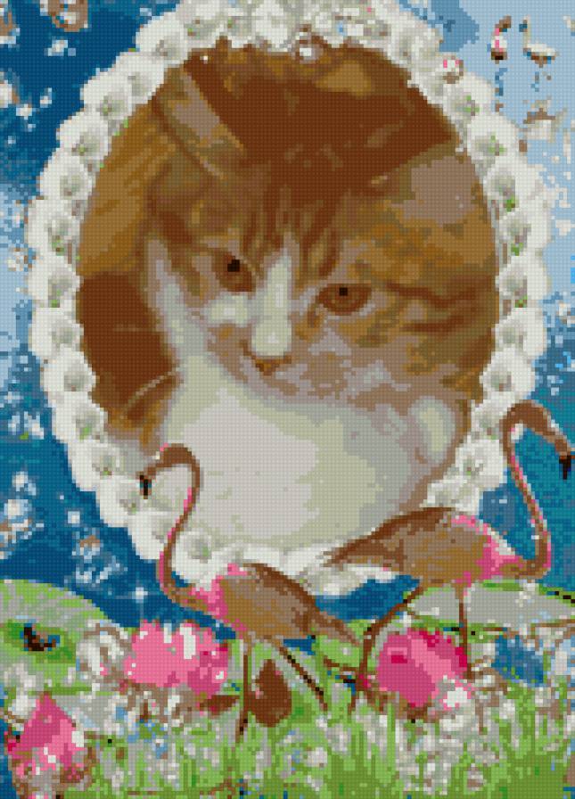 Мурка - кошка, кот, красота - предпросмотр