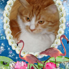 Схема вышивки «Мурка»