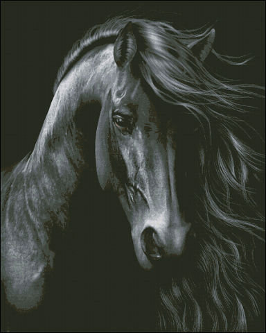 черная лошадь - животные лошади - оригинал