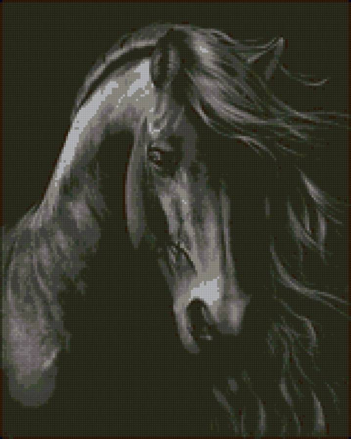 черная лошадь - животные лошади - предпросмотр