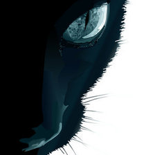 Схема вышивки «Взгляд кошки»