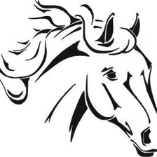 Лошадь простая