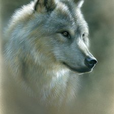 Оригинал схемы вышивки «Волк» (№165868)